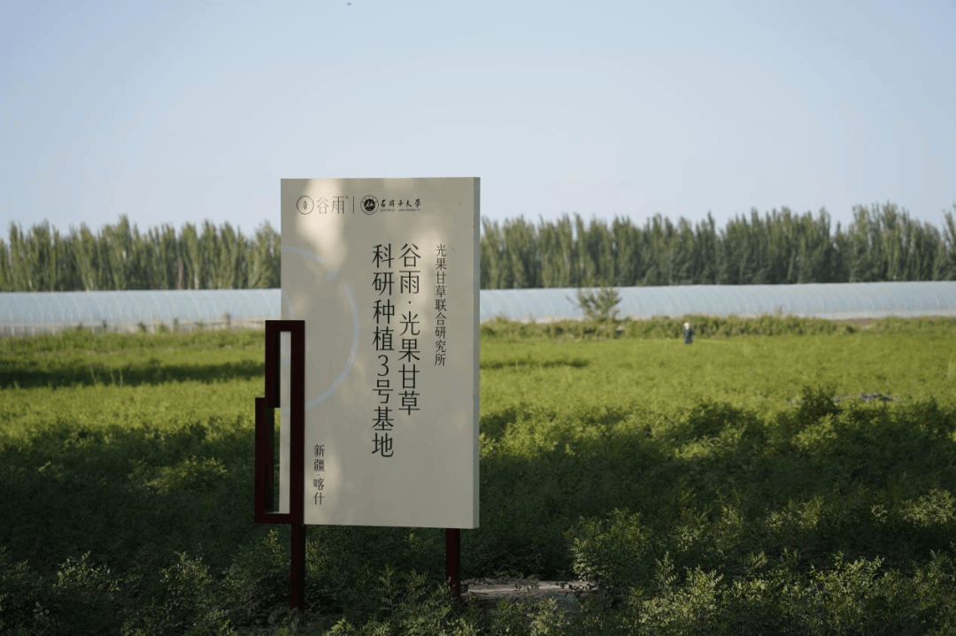 报告：全景呈现责任自觉与可持续发展实践PG电子麻将胡了模拟器谷雨首份ESG(图13)